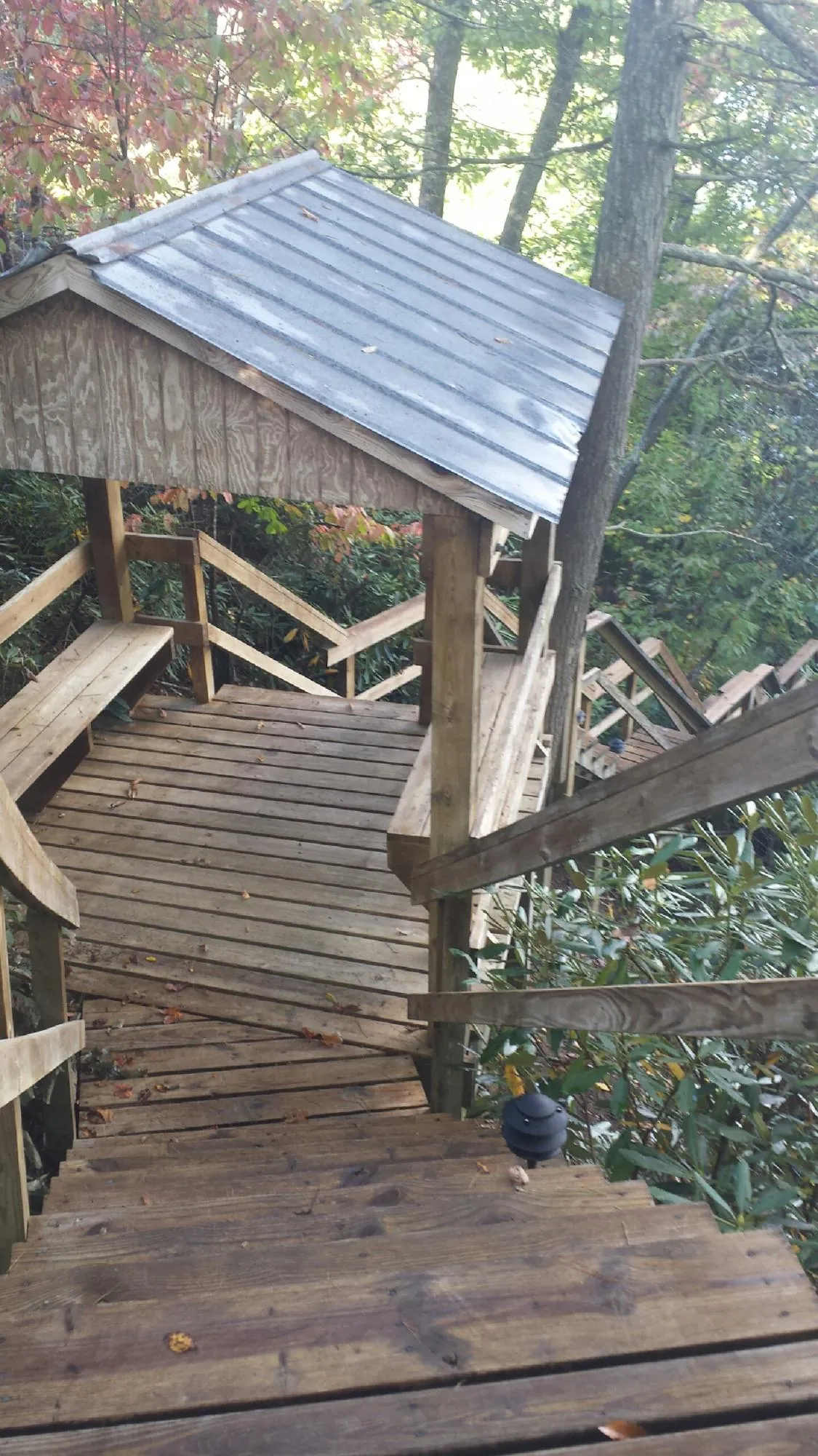Metal roofed shelter over wooden steps on a wooded walkway — Skylight Repair & Installation work by our crew in Holgate
