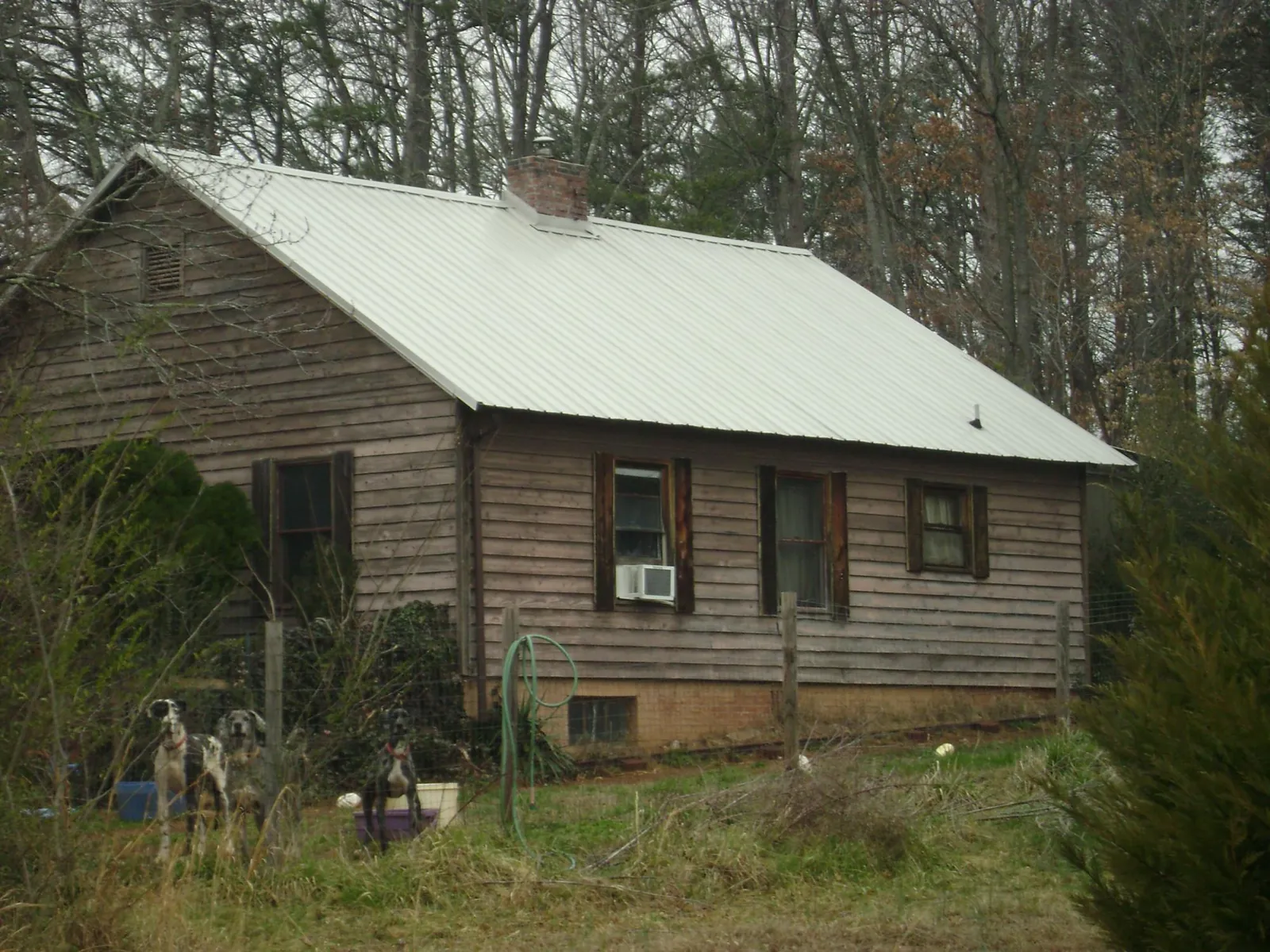 White metal roof on an old wood sided farmhouse, from a Metal Roof Installation job in Holgate